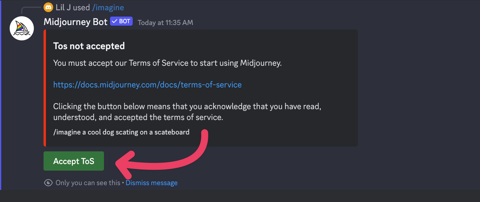 Accept Midjourney Terms of Service Button